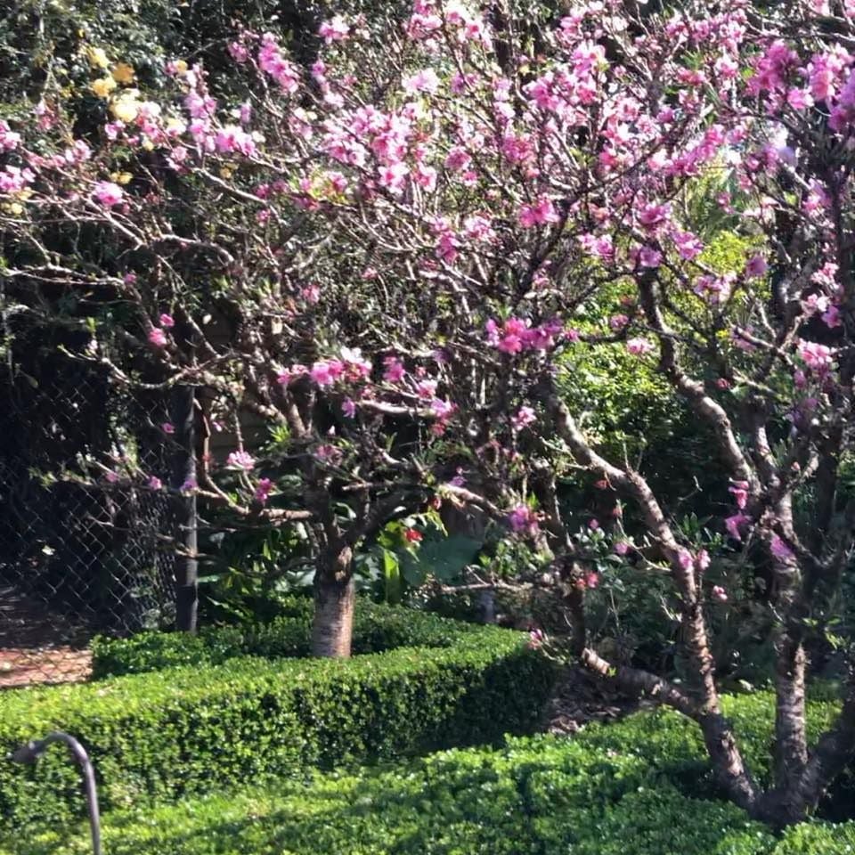 Connect Coaches Garden Tours Image -62b99286c5dd7